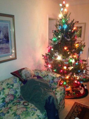 tree low.jpg