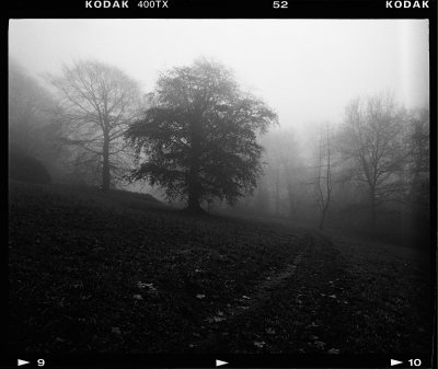 img449.jpg