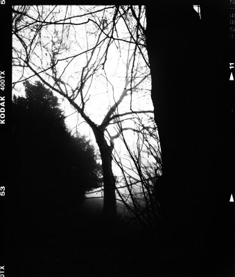 img453.jpg