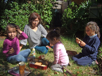 Biscuits and apple juice picnic