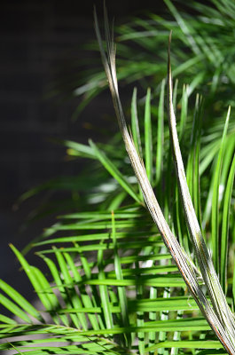 g9/56/398356/3/154880266.JdVGKbk9.jpg