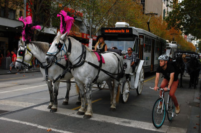 Variety of movement in Swanston Street.