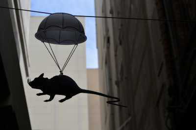 Parachuting Rat