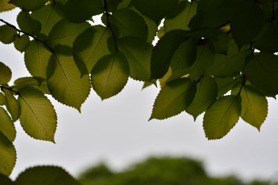 g9/56/398356/3/163200520.QTUXR2AQ.jpg