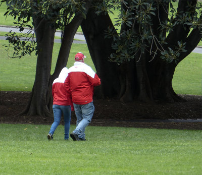 Going for a tree hug