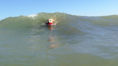 Surfing summer 2013. (frame from video)