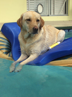 The pool in Fort Lauderdale, 2005