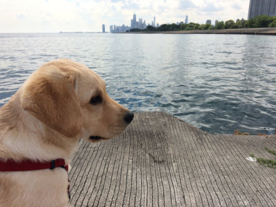 First time experiencing Lake Michigan