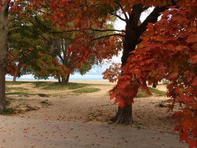 The colors of a Chicago October 2014 fall at the beach. 