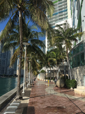  One Miami Condominium