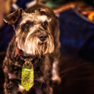 Andy's christmas-tie