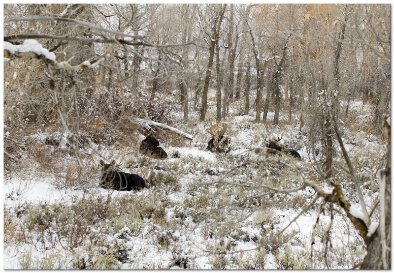 DSC_7017.jpg