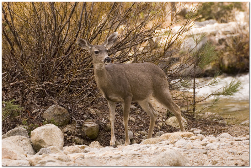DSC_7286.jpg