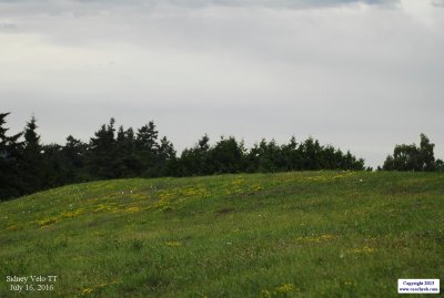 13July16--0407.JPG
