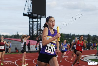 2014BC-0816.JPG