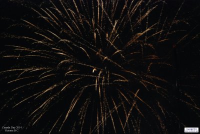 2014CanD-0566.JPG