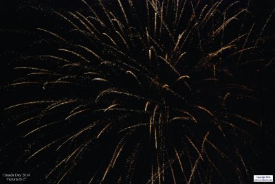 2014CanD-0567.JPG