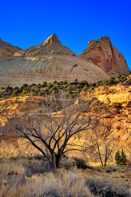 CAPITOL REEF NATIONAL PARK