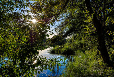 The Ponds in Lomna