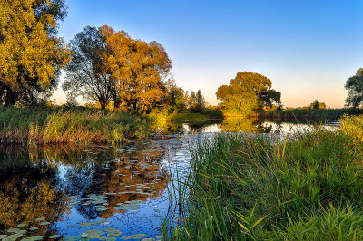 Ponds in Lomna