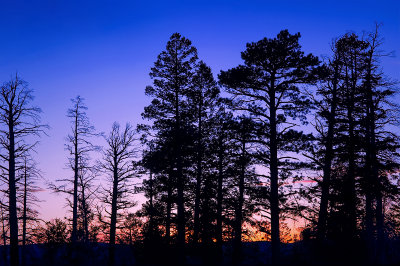 Bryce Canyon Sunset