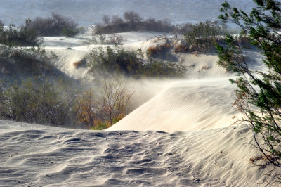 Sand Storm in the Mesquite Dunes