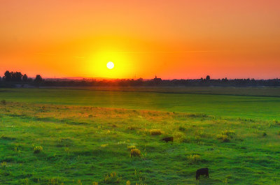 Vistula Valley sunset