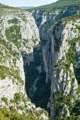 DSC_8657.jpg