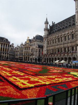 Tapis de fleurs - Août 2014