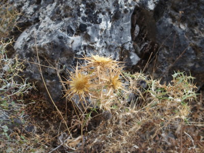 P9190229.JPG