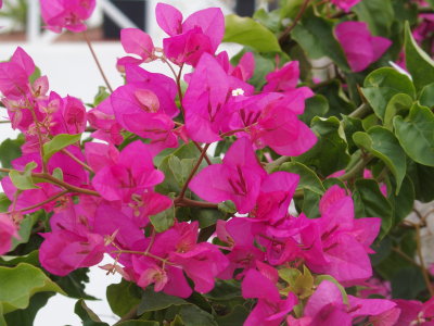 P9260585.JPG