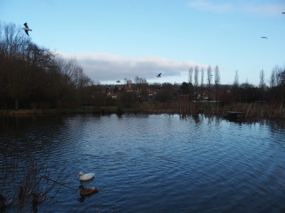 PC250109.JPG