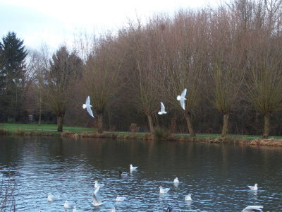 PC250113.JPG