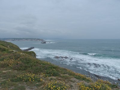 P6030083 - Copie.JPG