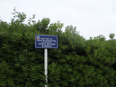 P6030085 - Copie.JPG