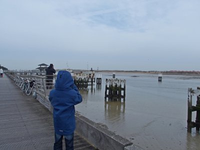 P3310037.JPG