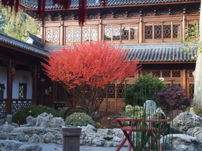 Pairi Daiza - Octobre 2016