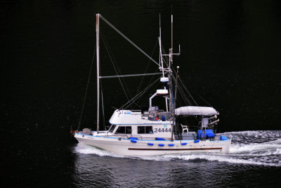D7K_2517p.jpg