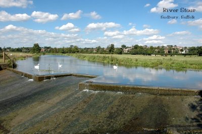 Salmon Leap River Stour Sudbury Suffolk.jpg