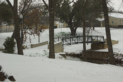 IMGP1340.jpg-800.jpg