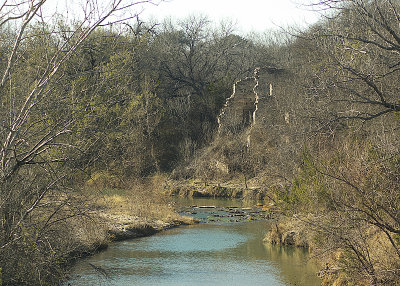 IMGP2450-800.jpg