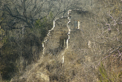 IMGP2452-800.jpg