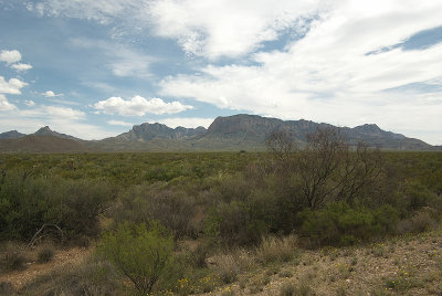 IMGP4494-800.jpg