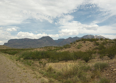 IMGP4495-800.jpg