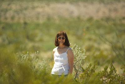 File0085-800.jpg