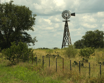 IMGP6612-800.jpg