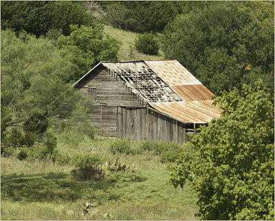 IMGP6617-800.jpg