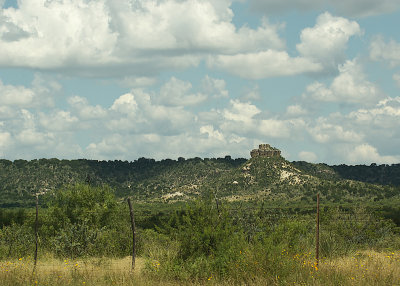 IMGP6590-800.jpg