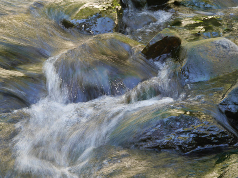 Coldwater Creek 1.jpg