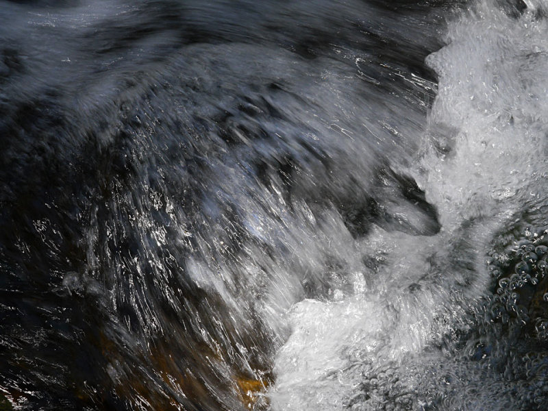 Coldwater Creek 2.jpg
